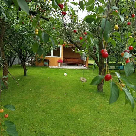 W Kurniku Z Jacuzzy Apartamento *