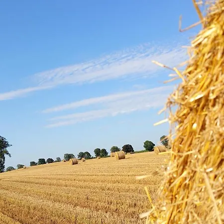 Apartamento W Kurniku Z Jacuzzy Luban (Koscierzyna)