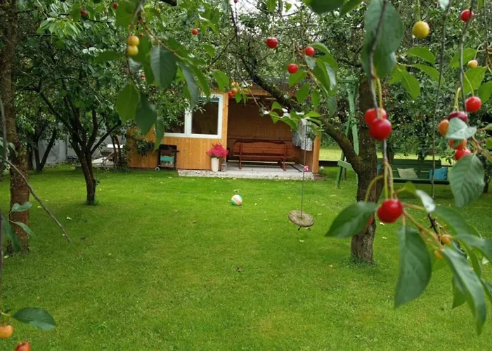 W Kurniku Z Jacuzzy Apartamento *