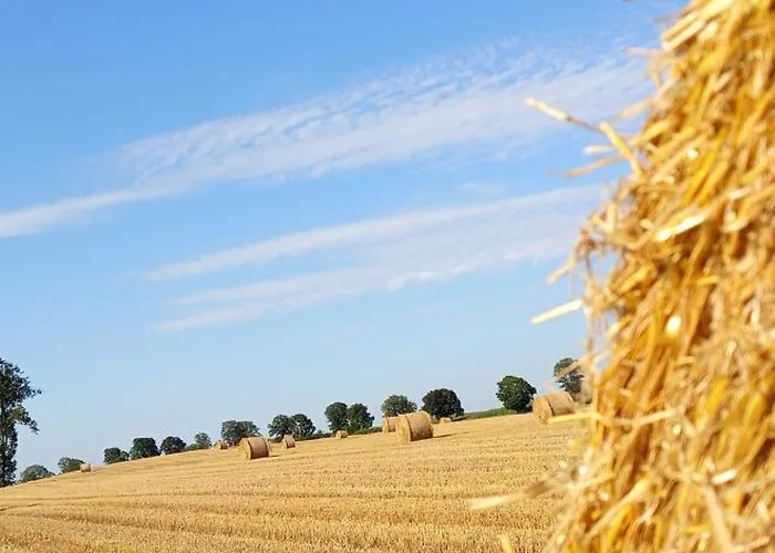 Apartamento W Kurniku Z Jacuzzy Luban (Koscierzyna)